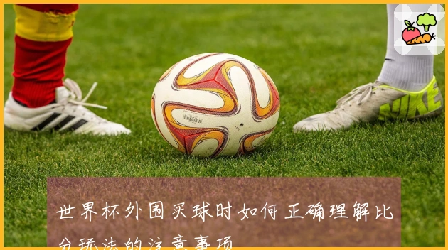 世界杯外围买球时如何正确理解比分玩法的注意事项